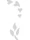 Templates for Nail Art Polish Tattoo NPT - NPT014