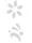 Templates for Nail Art Polish Tattoo NPT - NPT019