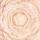 Hajlajter REVOLUTION PRO Lustre Highlighter 9g - Pink Rose