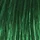 Pigment za kosu JJ's Direct Color 100ml - Green Woodland