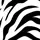 Detangling Hairbrush - Tangle No More - Zebra