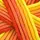 Hair Ties - Lollipops - Orange
