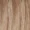 Beige Shades