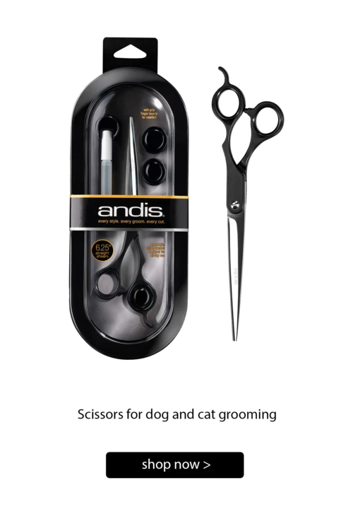 ANDIS