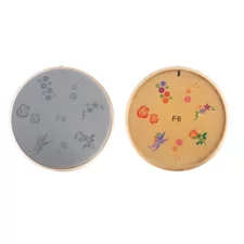 Šablon silikonski za Nail Art F6