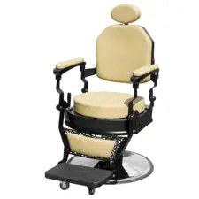 Barber Chair NS-34818X