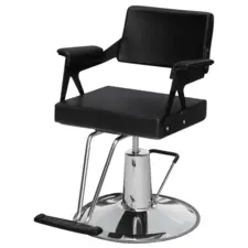 Hair Styling Chair NS-6652