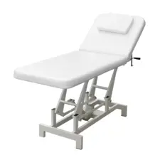 Electric Adjustable Beauty Bed NS-6991
