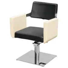 Hair Styling Chair NS-6611