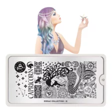 Stamping Nail Art Image Plate MOYOU Zodiac 12