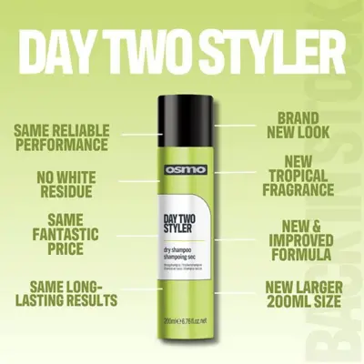 Dry Shampoo - Day Two Styler