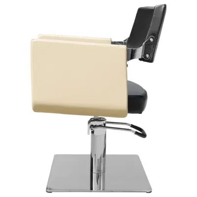 Hair Styling Chair NS-6611